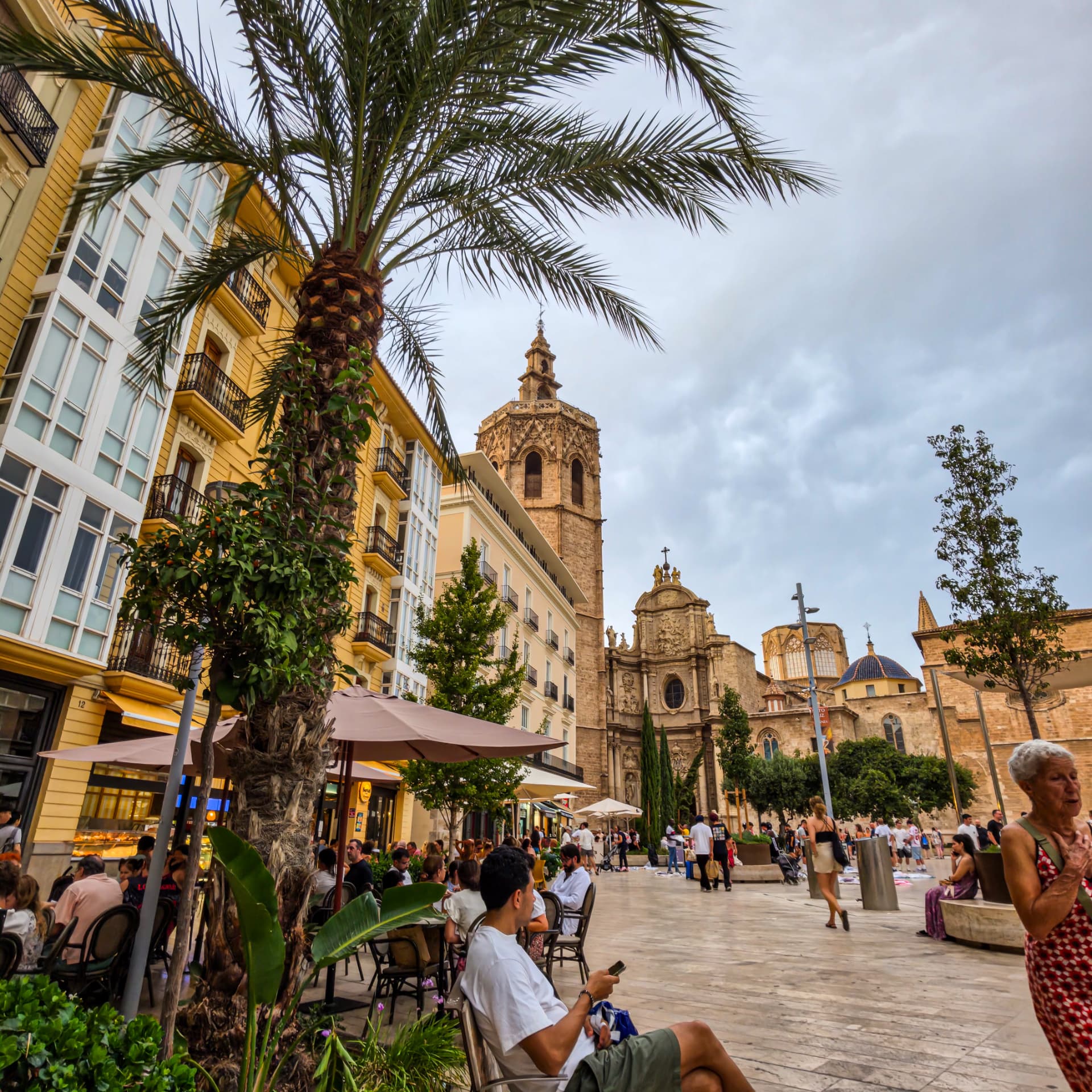 Plaza de la Virgen de Valencia con palmera y catedral