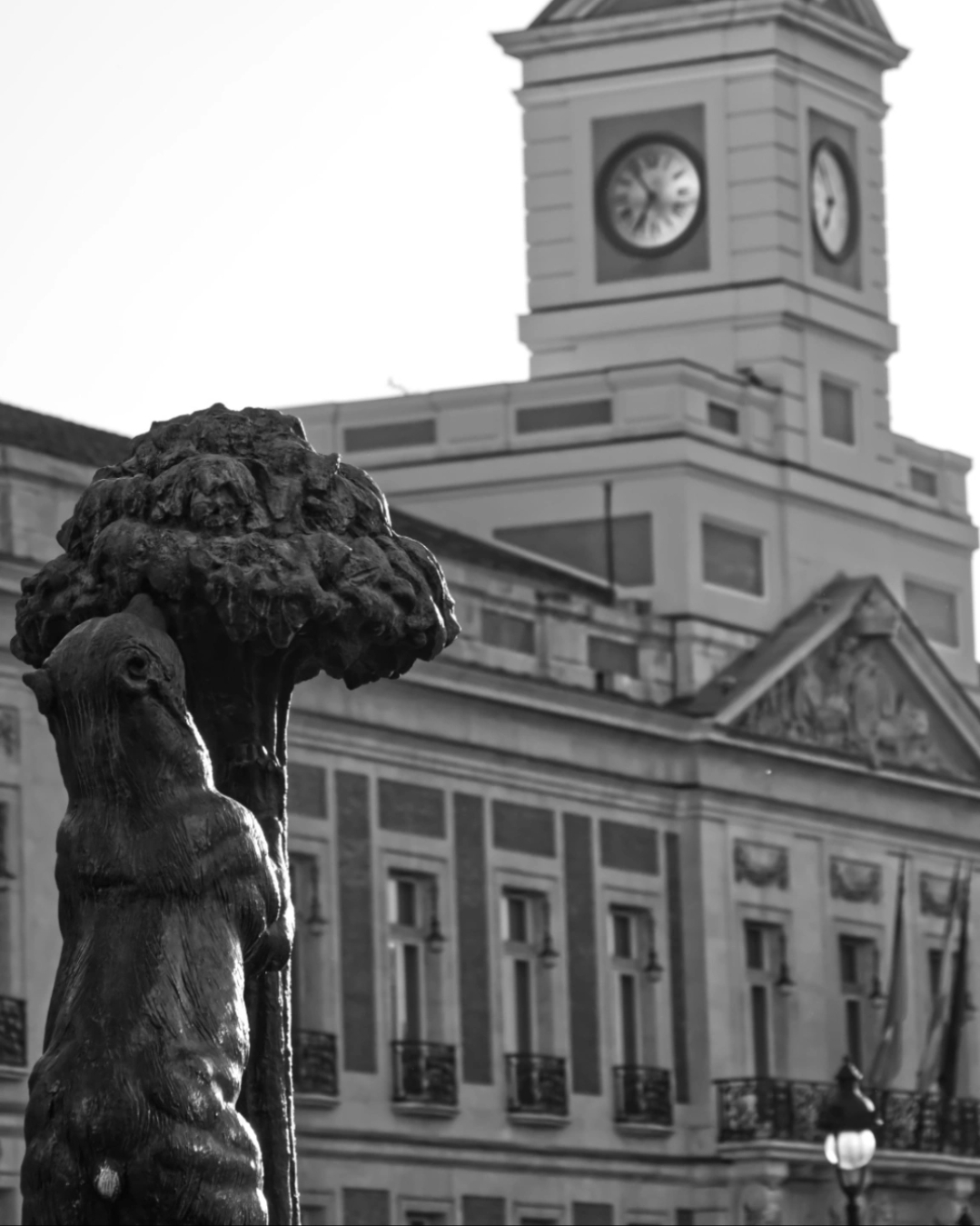 Escultura del Oso y el Madroño en Madrid en blanco y negro